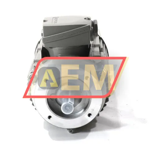1LE1003-0DB32-2KA4 Siemens resim 2