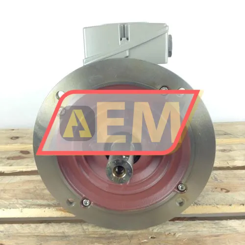 1LE1001-1CA19-0FA4 Siemens resim 3