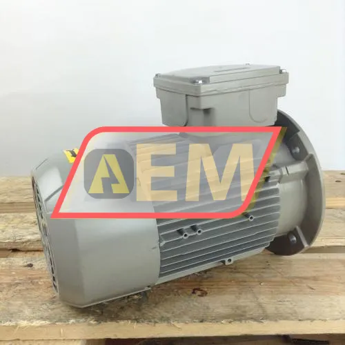 1LE1001-0EB09-0FA4-Z Siemens resim 4