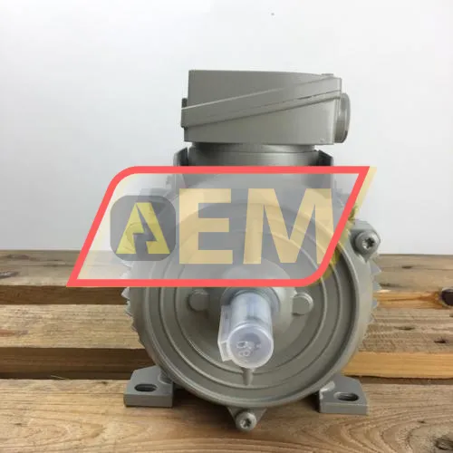 1LE1001-0DA62-2AA4 Siemens resim 4