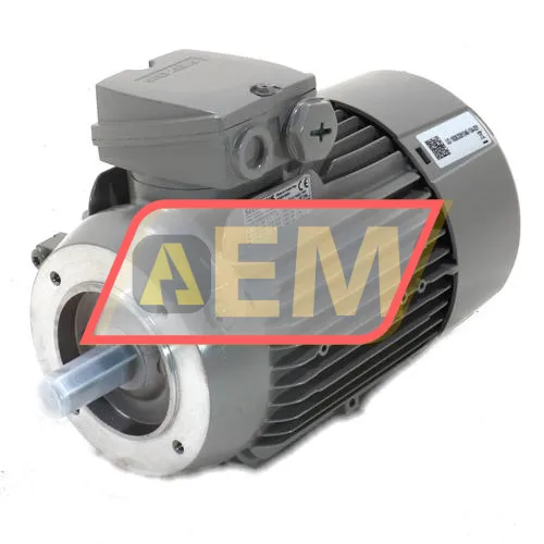 1LE1003-0EC02-2FA4 Siemens resim 5
