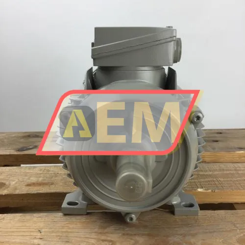 1LE1001-0EB62-2AA4 Siemens resim 4