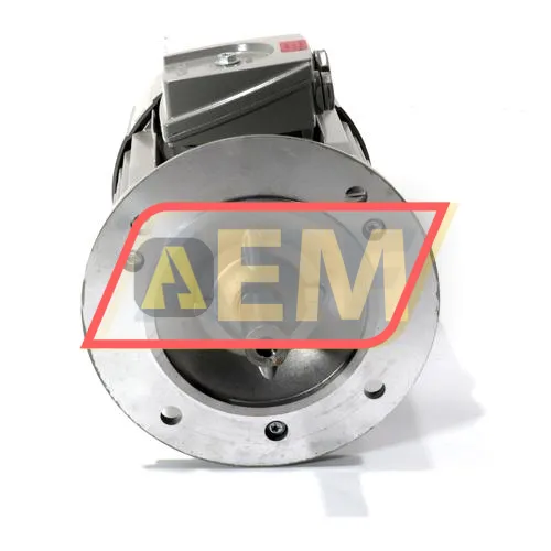 1LE1001-0EA02-2FB4 Siemens resim 2
