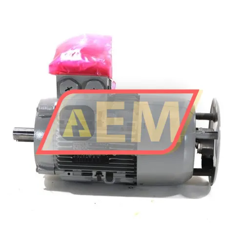 1LE1001-1AD59-0KB4-Z Siemens resim 4