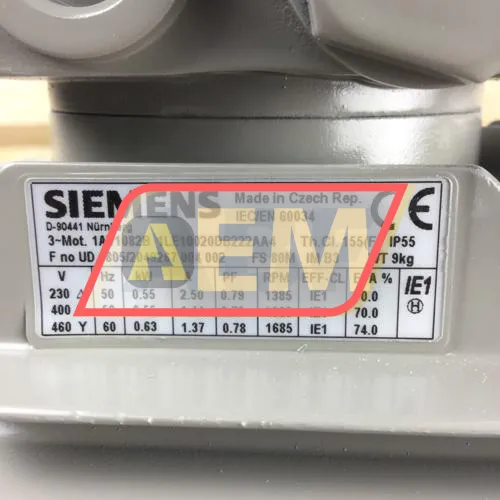 1LE1002-0DB22-2AA4 Siemens resim 2