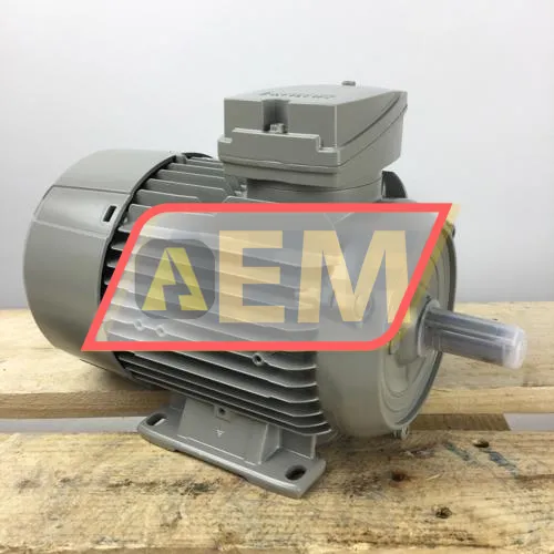 1LE1002-0DB22-2AA4 Siemens resim 3