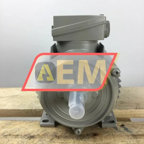 1LE1002-0DB22-2AA4 Siemens resim 4