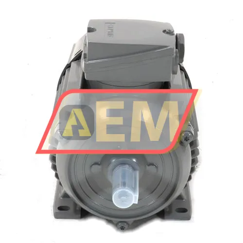 1LE1003-0DA22-2AA4 Siemens resim 3
