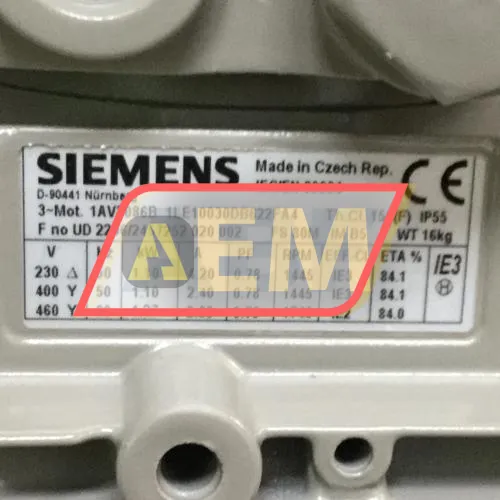 1LE1003-0DB62-2FA4 Siemens resim 4