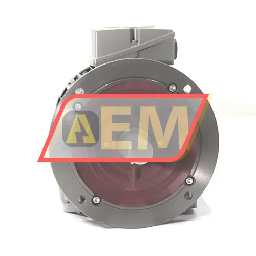 1LE1003-1CB23-4WB4 Siemens resim 2