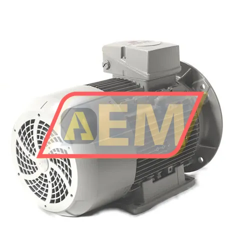 1LE1003-1CB23-4WB4 Siemens resim 3