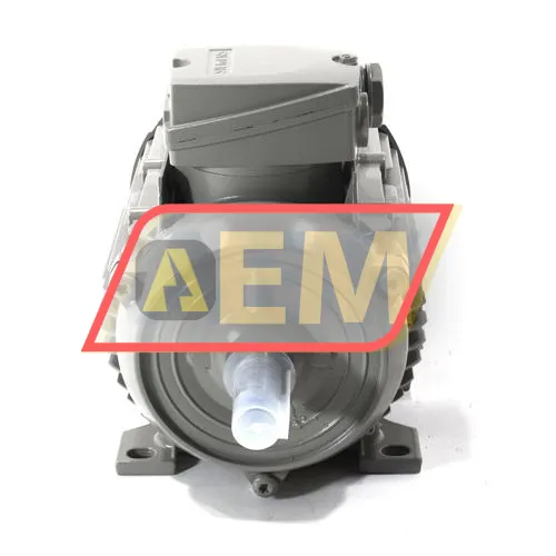1LE1003-0DB62-2AA4 Siemens resim 2