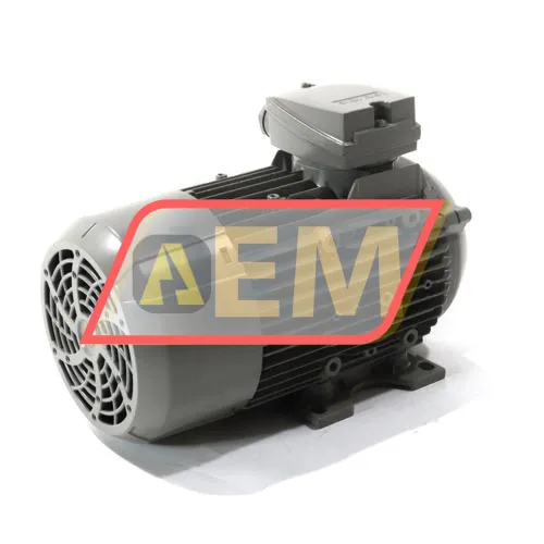 1LE1003-0DB62-2AA4 Siemens resim 3