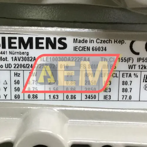 1LE1003-0DA22-2FA4 Siemens resim 4