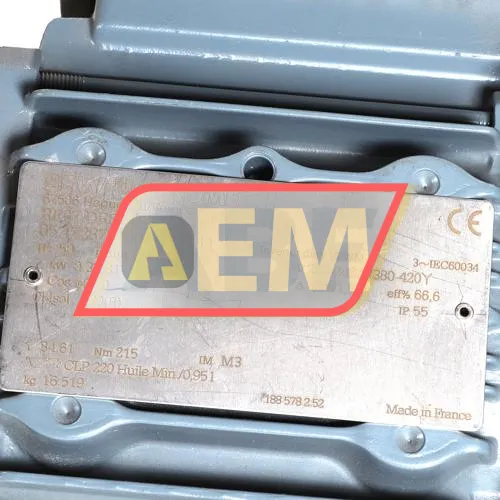 RF37/DRS71S4 SEW-EURODRIVE resim 2