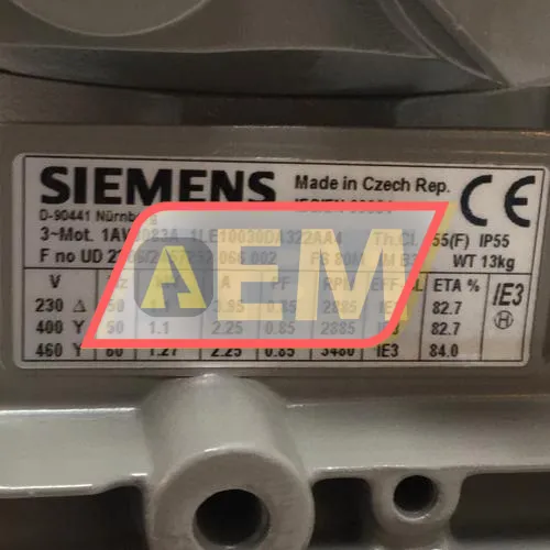 1LE1003-0DA32-2AA4 Siemens resim 4