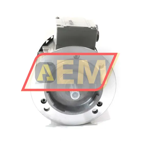 1LE1001-0CA32-2FA4 Siemens resim 2