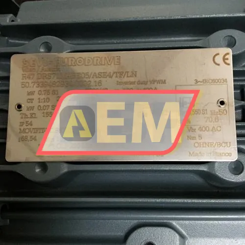 R47DRS71M4BE05/ASE4/TF/LN-I69 SEW-EURODRIVE resim 4