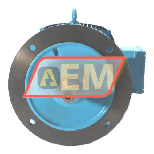 DRN160M4/FF-B5 SEW-EURODRIVE resim 2