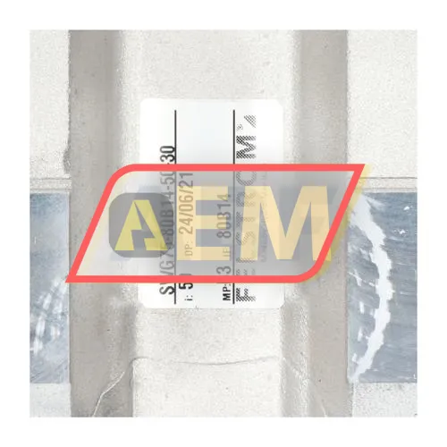 SWG75-80B14-50-30 Felstrom resim 6