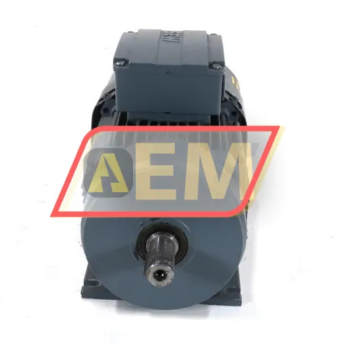 DRE90M4BE2HRFI SEW-EURODRIVE resim 3