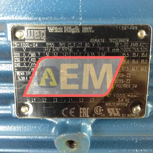 3K31AL21004B3 WEG resim 2