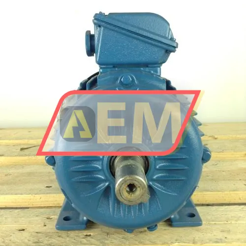3K31AL21004B3 WEG resim 4