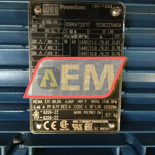 3K31AL3100L4B14 WEG resim 4