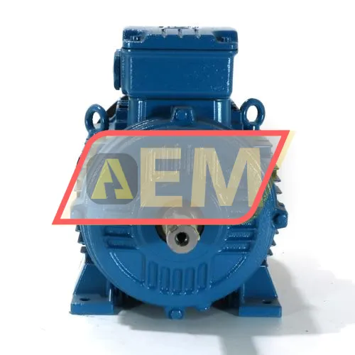 1.1K31AL290S6B14 WEG resim 4