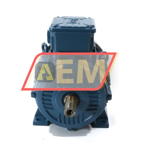 2.2K31AL3112M6B3 WEG resim 2