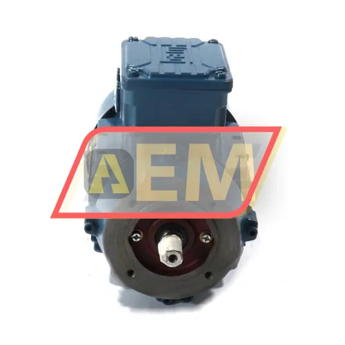 0.25K31AL0714B14 WEG resim 2