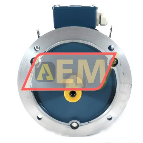 IE2-132S-4B5 Guanglu resim 2
