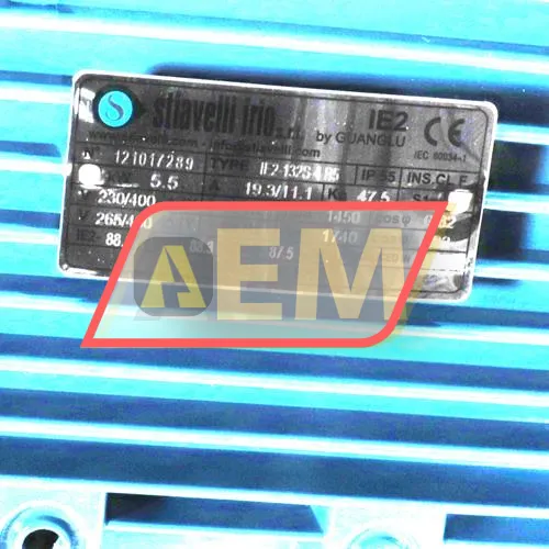 IE2-132S-4B5 Guanglu resim 4