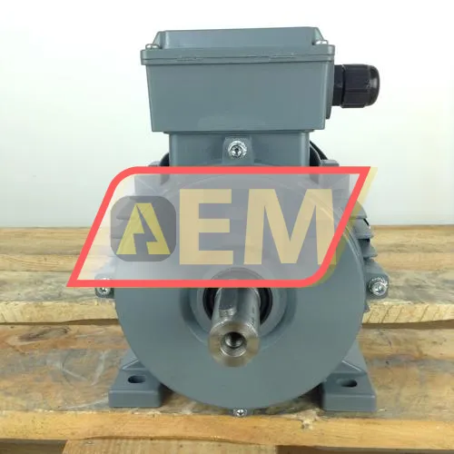 DMA90L6 Dutchi Motors resim 3