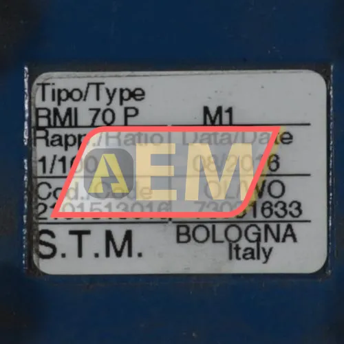 RMI70PM1-71B5I100 STM Bologna Italy resim 4