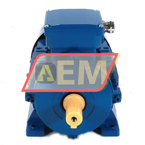 MS90S-2-B3 Hoyer resim 2