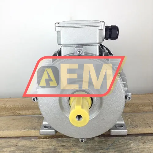MR13A3019-132S-6-B3 Neri Motori resim 4