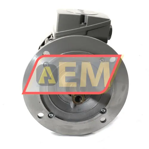 1LE1001-1AC42-2FA4 Siemens resim 2